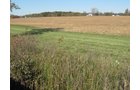 Property photo 9 - 110+/- Acres offered in 4 Tillable Tracts